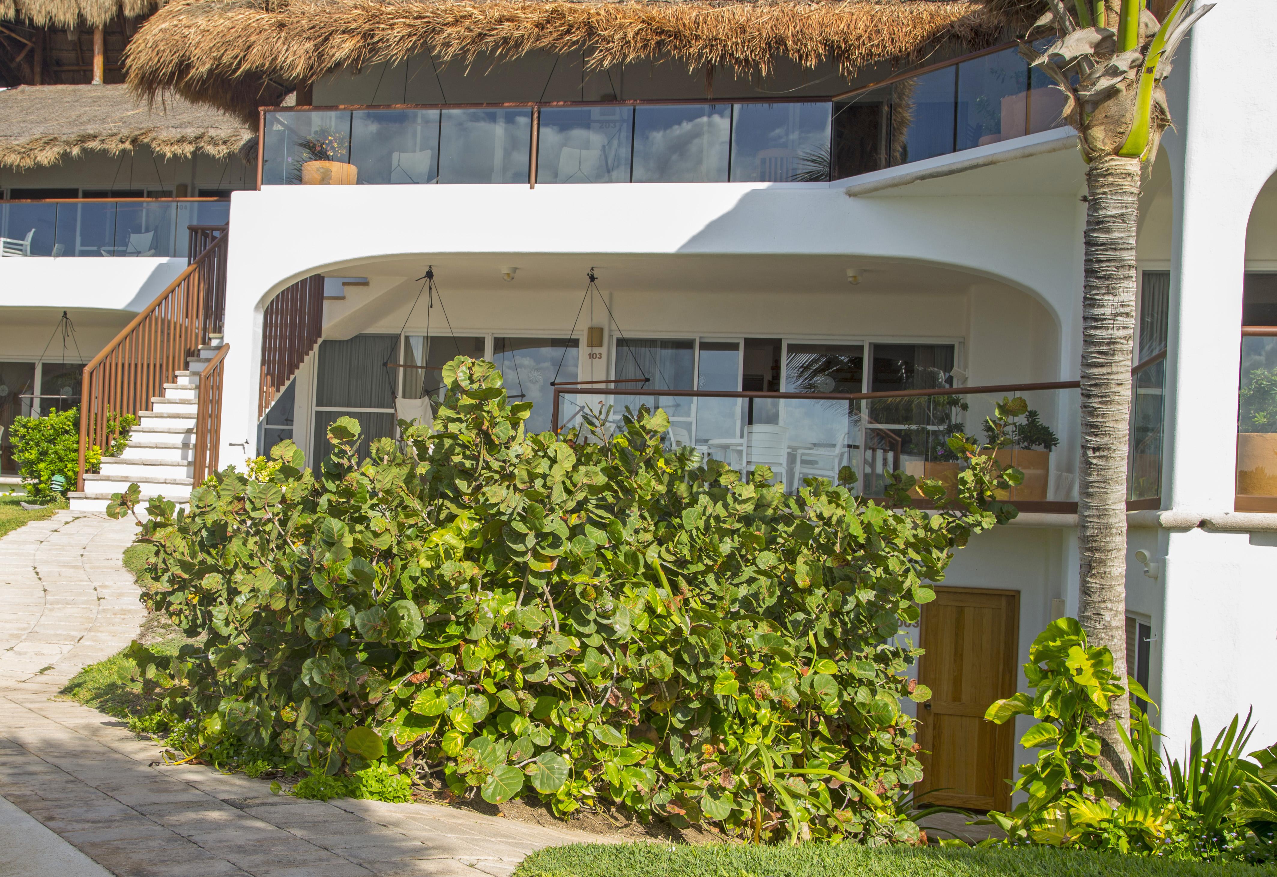 Las Villas Akumal Ngoại thất bức ảnh